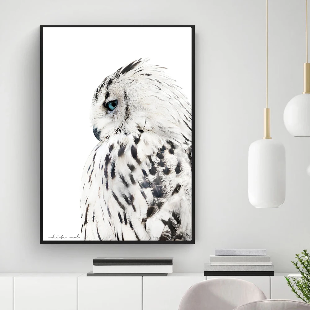 Black White Animal Owl Realistic Painting Canvas Art Print Wall Picture White Owl Poster Canvas Painting Modern Wall Art Decor
Black White Animal Owl Realistic Painting Canvas Art Print Wall Picture White Owl Poster Canvas Painting Modern Wall Art Decor