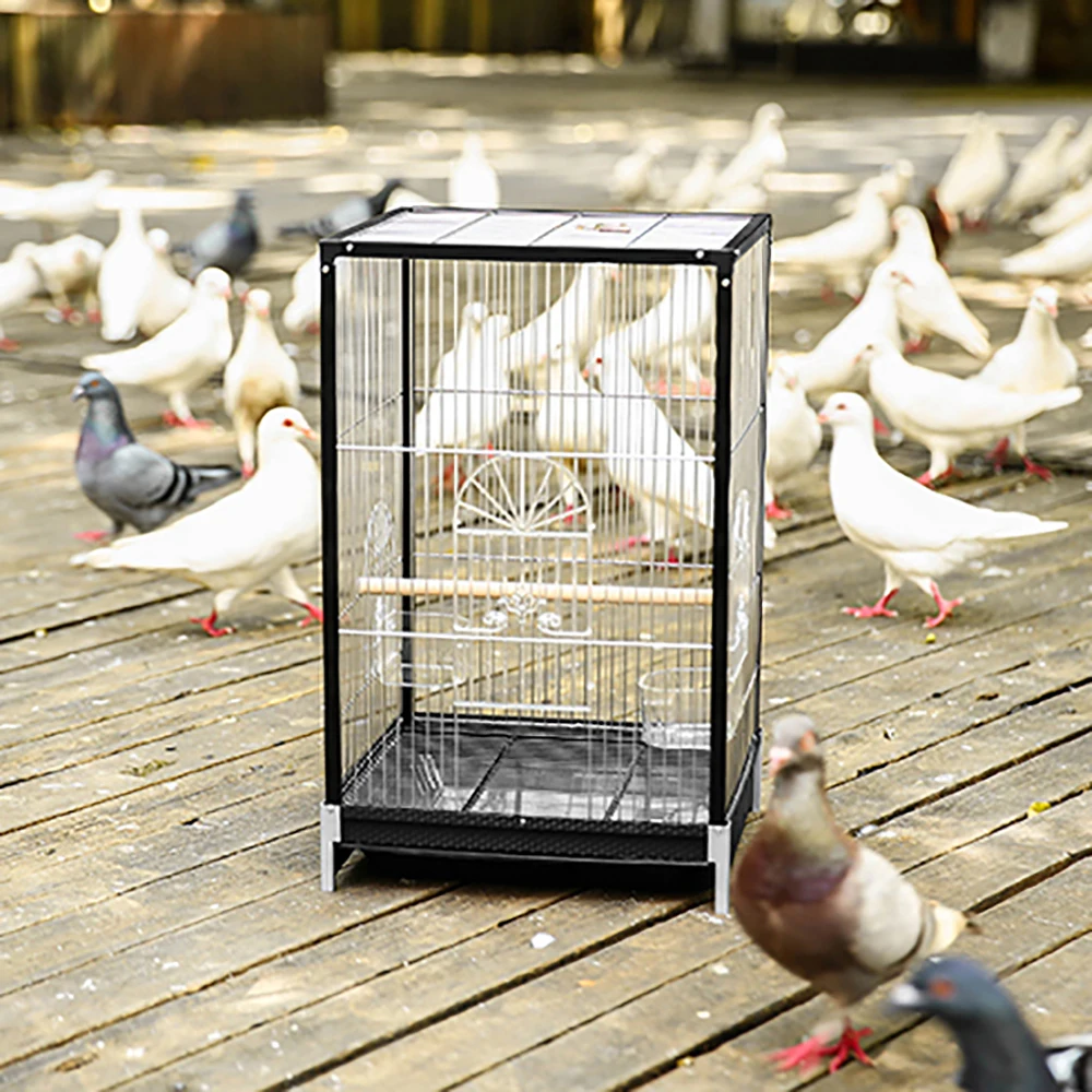 Metal Birds Cage Parrot Pigeon House Nest Wood Standing Perches Plastic Litter Box Food Drinking Bowl Playpen Set Indoor Outdoor
Metal Birds Cage Parrot Pigeon House Nest Wood Standing Perches Plastic Litter Box Food Drinking Bowl Playpen Set Indoor Outdoor