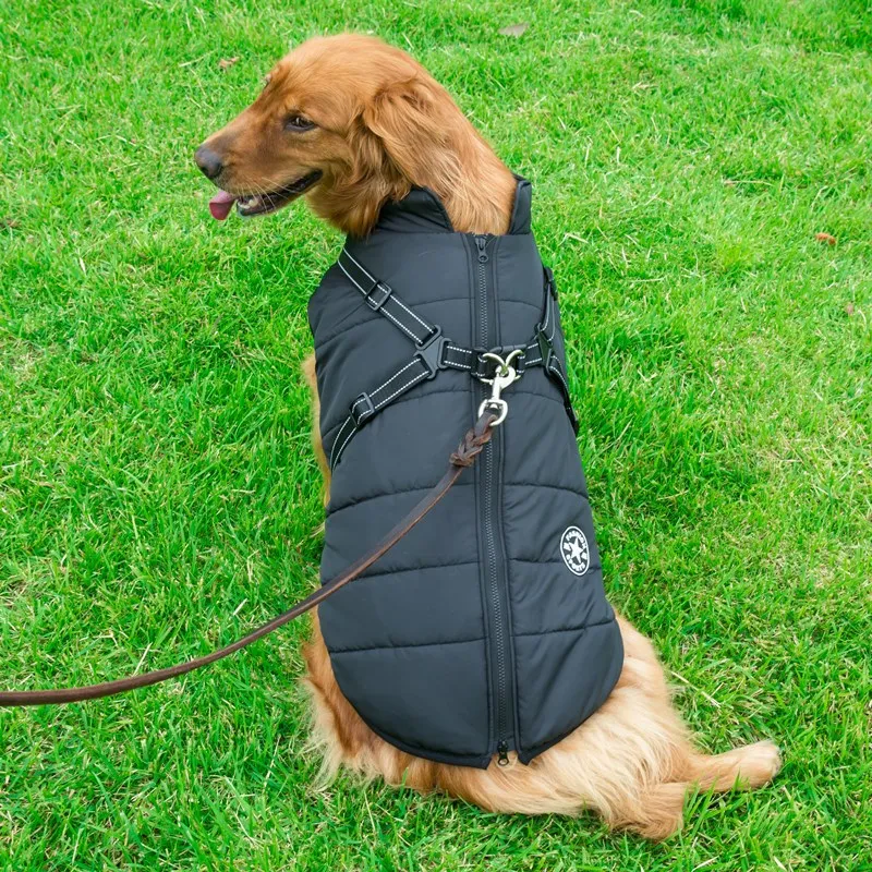 New pet products autumn and winter warm dog clothes pet cotton padded clothes big dog clothes reflective assault suit big size
New pet products autumn and winter warm dog clothes pet cotton padded clothes big dog clothes reflective assault suit big size