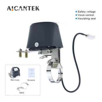 1/2 "3/4" 1 "Elektrische Automatische Manipulator Afsluiter DN15 DN20 DN25 Voor Alarm Gas Water Pijplijn beveiliging Apparaat 12V 1A