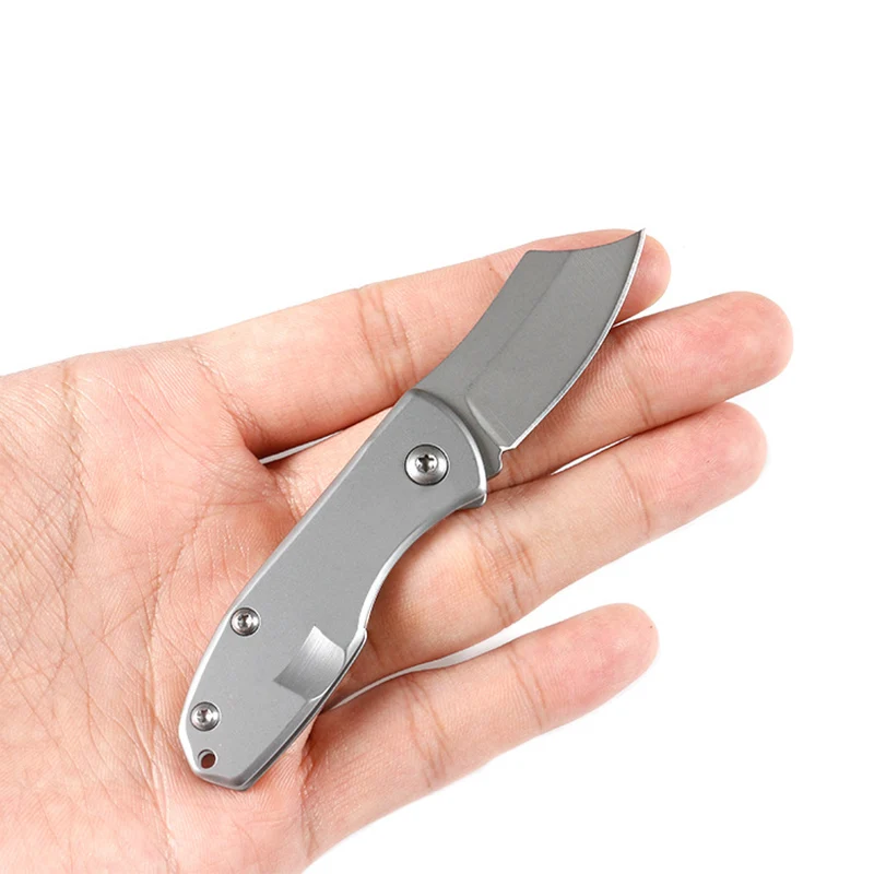 Mini Folding Knife a sharp 440C Steel Small Pocket Knife Grey titanium handle Outdoors Survival Knife EDC Tool
Mini Folding Knife a sharp 440C Steel Small Pocket Knife Grey titanium handle Outdoors Survival Knife EDC Tool
