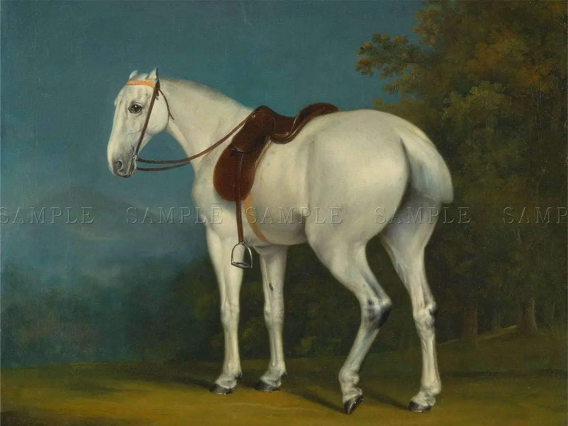 Painting Animal Portrait Agasse Lady Grey Horse Poster Tin Sign 8x12 Inch Home Kitchen Bedroom Bar Sign Decoration Posters Tin
Painting Animal Portrait Agasse Lady Grey Horse Poster Tin Sign 8x12 Inch Home Kitchen Bedroom Bar Sign Decoration Posters Tin