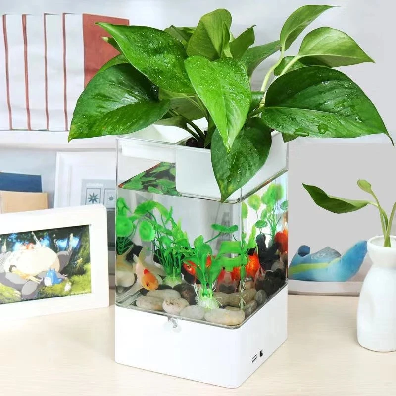 Creative color light mini small fish tank desktop multi-function free change water bucket fish tank aquarium aquarium accessorie
Creative color light mini small fish tank desktop multi-function free change water bucket fish tank aquarium aquarium accessorie
