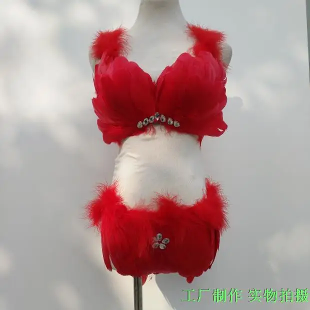 Stage Performance New Vic Style Secret Model Shows Feather Underwear Costumes women singer costume
Stage Performance New Vic Style Secret Model Shows Feather Underwear Costumes women singer costume