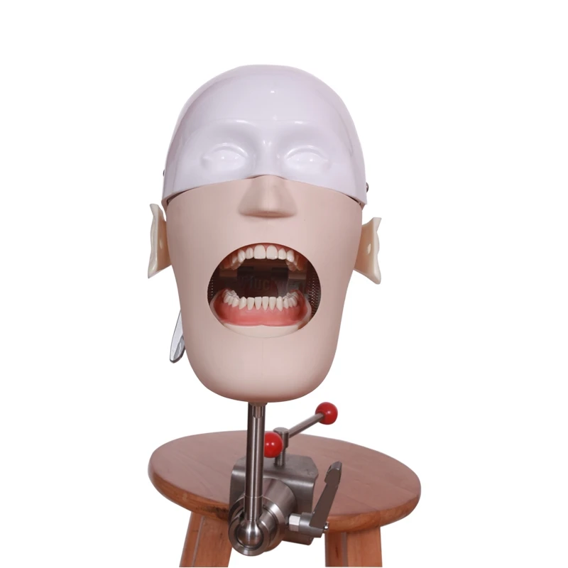 1PCS Dental manikins Phantom Head Teeth model Stainless High quality Steel Head Simple simulation head preparation for teaching
1PCS Dental manikins Phantom Head Teeth model Stainless High quality Steel Head Simple simulation head preparation for teaching