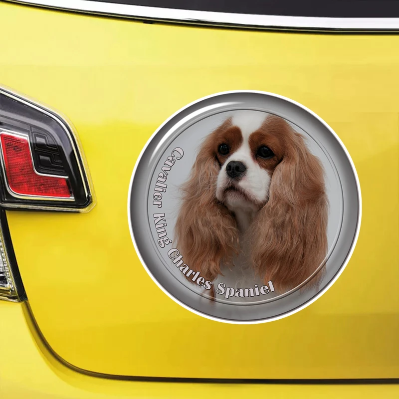 S61997# Cavalier King Charles Spaniel Self-adhesive Decal Car Sticker Waterproof Auto Decors on Bumper Rear Window Laptop
S61997# Cavalier King Charles Spaniel Self-adhesive Decal Car Sticker Waterproof Auto Decors on Bumper Rear Window Laptop