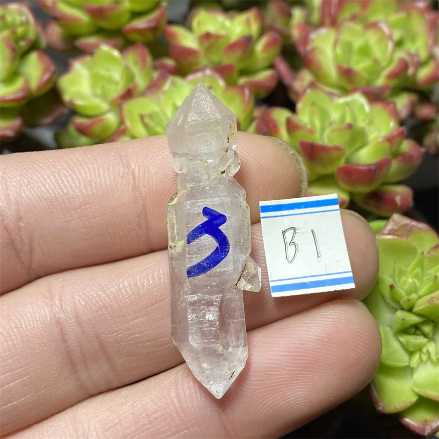 Top Natural Clear Herkimer Diamond Quartz Crystal - Herkimer NY Mineral specimen SALE
Top Natural Clear Herkimer Diamond Quartz Crystal - Herkimer NY Mineral specimen SALE
