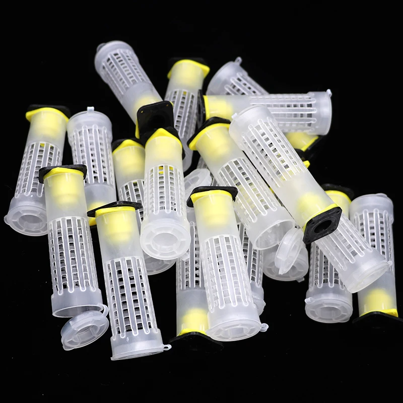 200PCS Bees Plastic Queen Rearing Cage Cup Box Protection Cover Catcher Protective Base Bees Tools Beekeeping Equipments
200PCS Bees Plastic Queen Rearing Cage Cup Box Protection Cover Catcher Protective Base Bees Tools Beekeeping Equipments