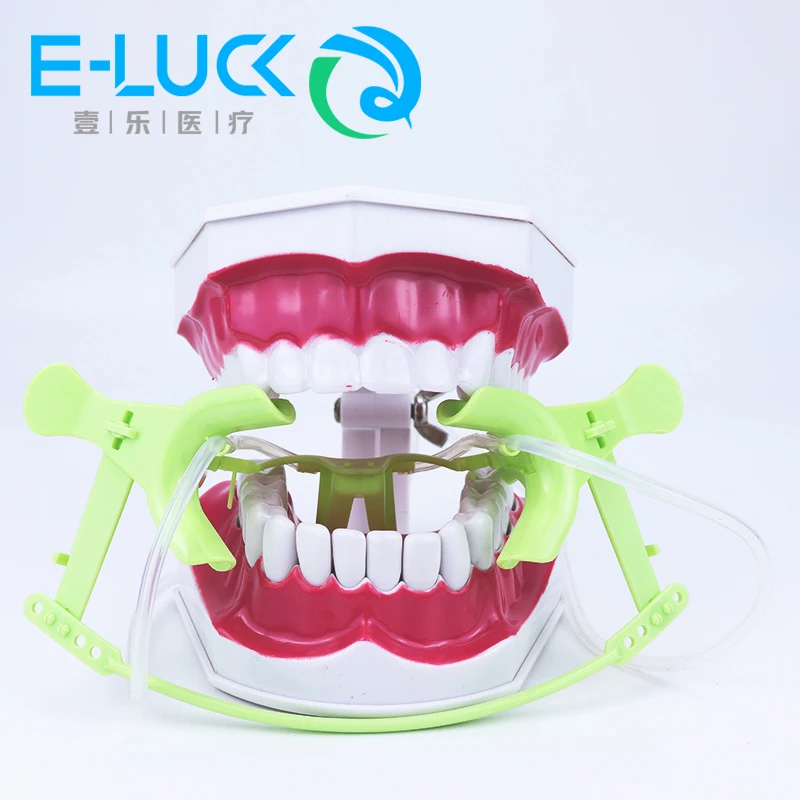 1 Pc Dental Cheek Retractor Mouth Opener with Saliva Aspirator AdjustableDental Orthodotnic Instruments Mouth Opener Adjustable
1 Pc Dental Cheek Retractor Mouth Opener with Saliva Aspirator AdjustableDental Orthodotnic Instruments Mouth Opener Adjustable