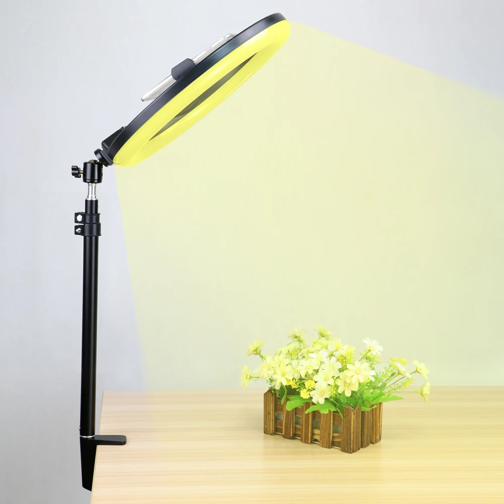 LED Ring Light Dimmable Selfit Lamp With Stretchable Desktop Stand Bracket Phone Clip Holder For Video Live Photography Lighting
LED Ring Light Dimmable Selfit Lamp With Stretchable Desktop Stand Bracket Phone Clip Holder For Video Live Photography Lighting