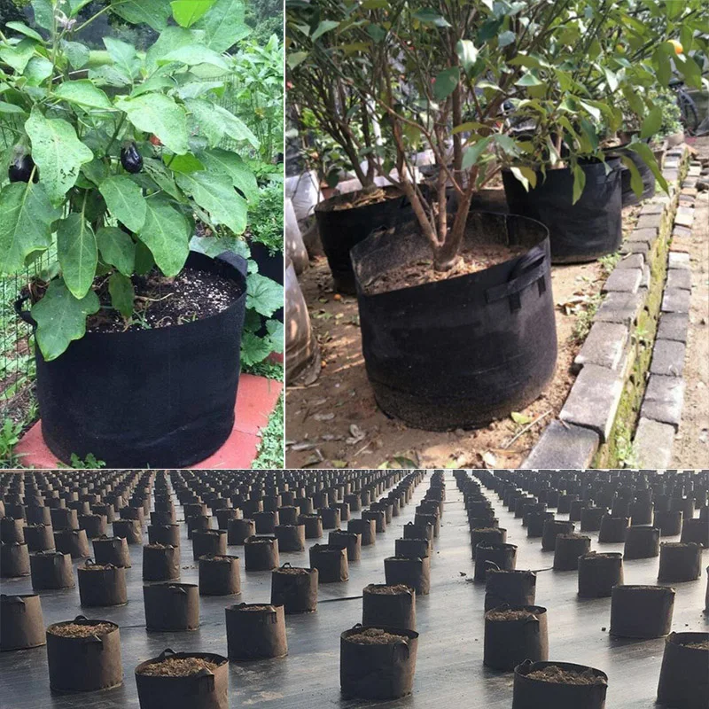 75 Gallon Hand Held Plant Grow Bags Fabric Pot Jardim Orchard And Garden Flowers Plant Growing Container Gardening Tools
75 Gallon Hand Held Plant Grow Bags Fabric Pot Jardim Orchard And Garden Flowers Plant Growing Container Gardening Tools