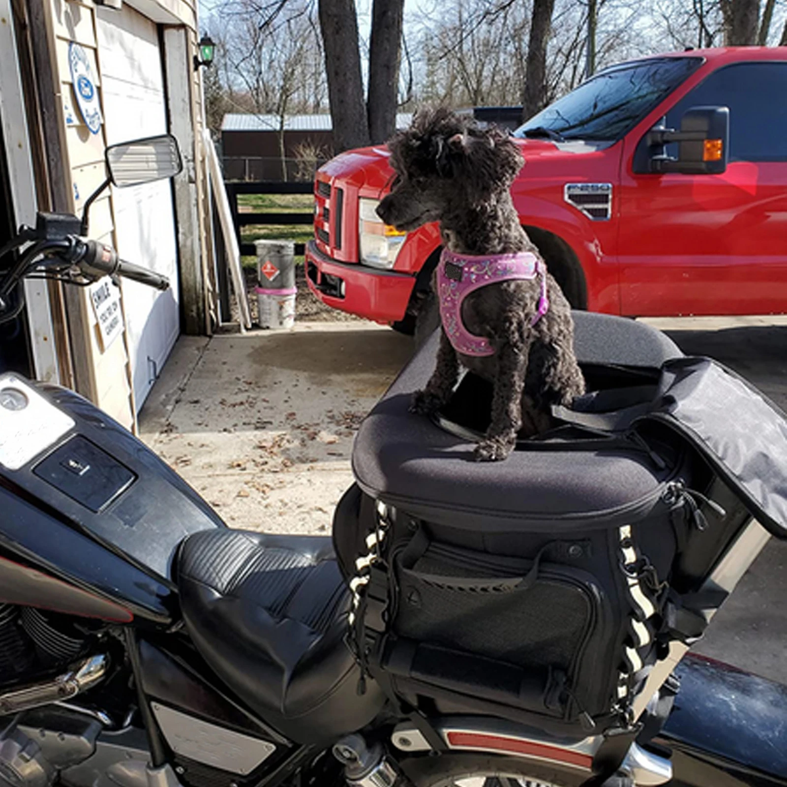 Motorcycle Dog Carrier Pet Cat Riding Holder Bag Box Case Accessories for UTV ATV Outdoor Luggage Bag Travelling Harley Touring
Motorcycle Dog Carrier Pet Cat Riding Holder Bag Box Case Accessories for UTV ATV Outdoor Luggage Bag Travelling Harley Touring