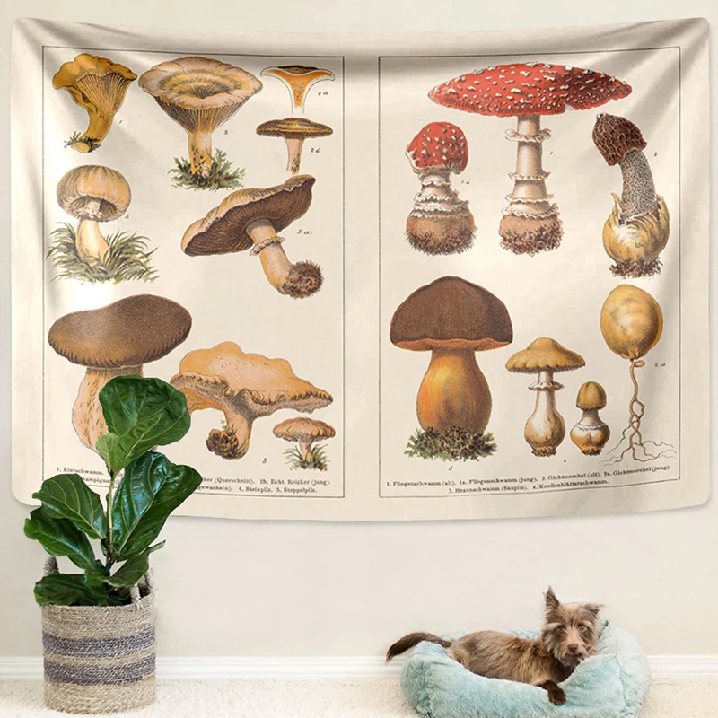 Vintage Tapestry Mushroom Mycology Pokedex Macrame Wall Hanging Psychedelic Tapiz Chart Art Boho Room Decor Carpet Wall Cloth
Vintage Tapestry Mushroom Mycology Pokedex Macrame Wall Hanging Psychedelic Tapiz Chart Art Boho Room Decor Carpet Wall Cloth