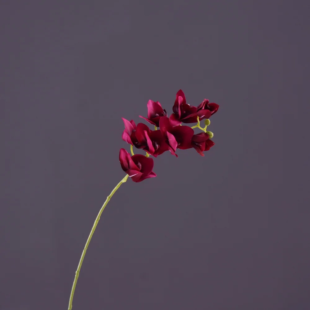 8 Heads Real Touch Good Quality Artificial Phalaenopsis Butterfly Orchid 27" For Home Party Wedding Decor Fake Flowers Hot Sale
8 Heads Real Touch Good Quality Artificial Phalaenopsis Butterfly Orchid 27" For Home Party Wedding Decor Fake Flowers Hot Sale