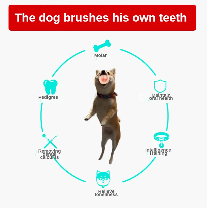 Pet toys light-emitting barbed molar interactive toy dog teeth ball flash elastic ball is out of shape not easily dog toys
Pet toys light-emitting barbed molar interactive toy dog teeth ball flash elastic ball is out of shape not easily dog toys