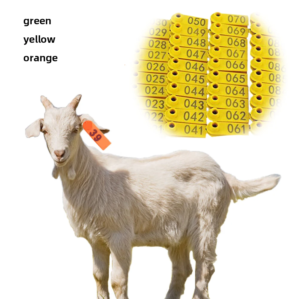 100 Pcs Sheep Ear Tag Livestock Ear Tag With The Words Animal Identification Card From 1 to 500 Farm Animal Supplies
100 Pcs Sheep Ear Tag Livestock Ear Tag With The Words Animal Identification Card From 1 to 500 Farm Animal Supplies