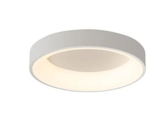 Ceiling lamp Modern led Ceiling Lights for living Room Bedroom Study Room Corridor Grey or White Color Lighting Light
Ceiling lamp Modern led Ceiling Lights for living Room Bedroom Study Room Corridor Grey or White Color Lighting Light