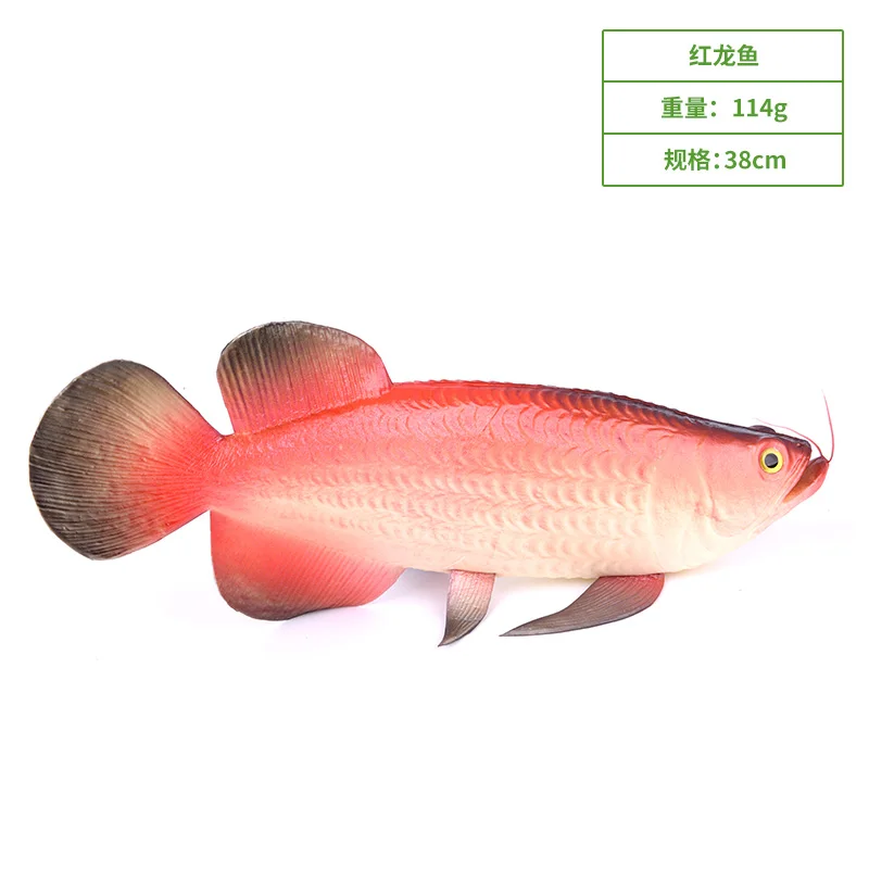 Simulation Of Arowana Simulated Fish Model Food Fake Kitchen Decoration Sketch Supplies Seafood Hotel Sea Life 2021
Simulation Of Arowana Simulated Fish Model Food Fake Kitchen Decoration Sketch Supplies Seafood Hotel Sea Life 2021