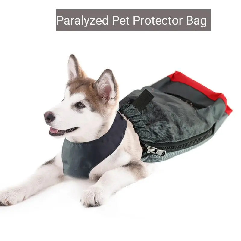 Pet supplies, disable dog dragging bags, abrasion proof, abrasion paralysis pets, protection bag, indoor bag
Pet supplies, disable dog dragging bags, abrasion proof, abrasion paralysis pets, protection bag, indoor bag