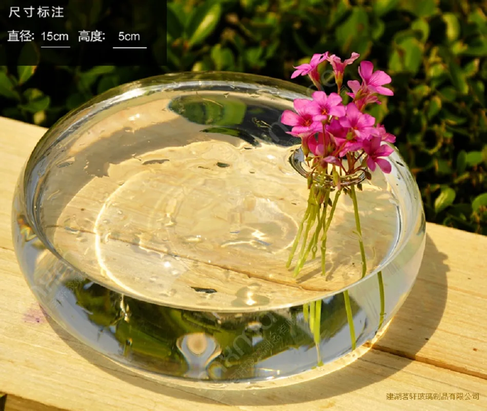 O.RoseLif Transparent flatworm Vase Decorativos Wedding Decoration Round Air Plant Terrarium Handblown decoration glass vase
O.RoseLif Transparent flatworm Vase Decorativos Wedding Decoration Round Air Plant Terrarium Handblown decoration glass vase
