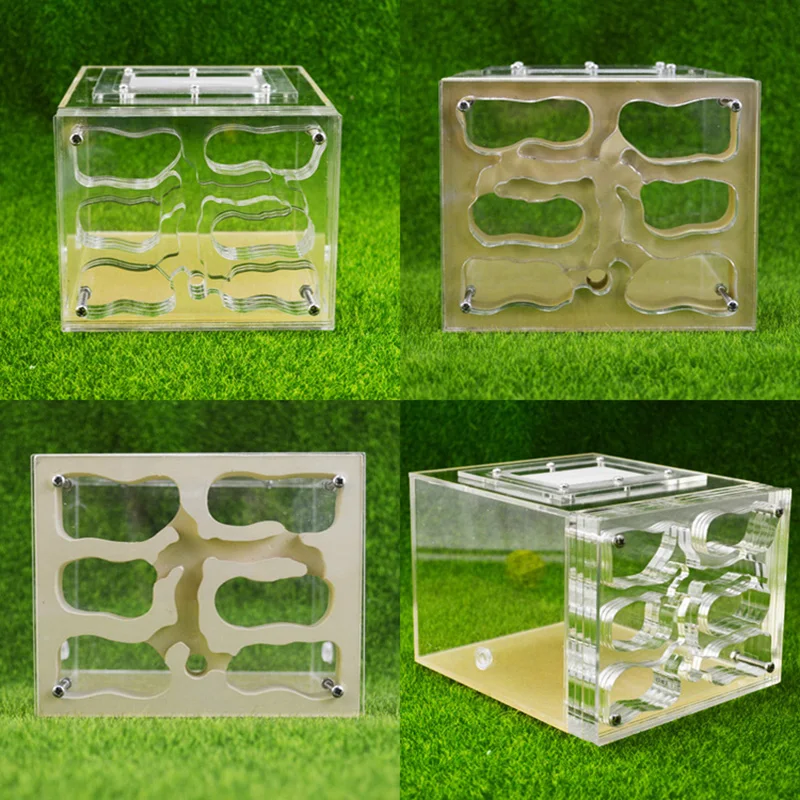 Plaster and Acrylic Mixed Ant Nest Transparent Active Area Square Anthill Ant 18*14*11cm
Plaster and Acrylic Mixed Ant Nest Transparent Active Area Square Anthill Ant 18*14*11cm