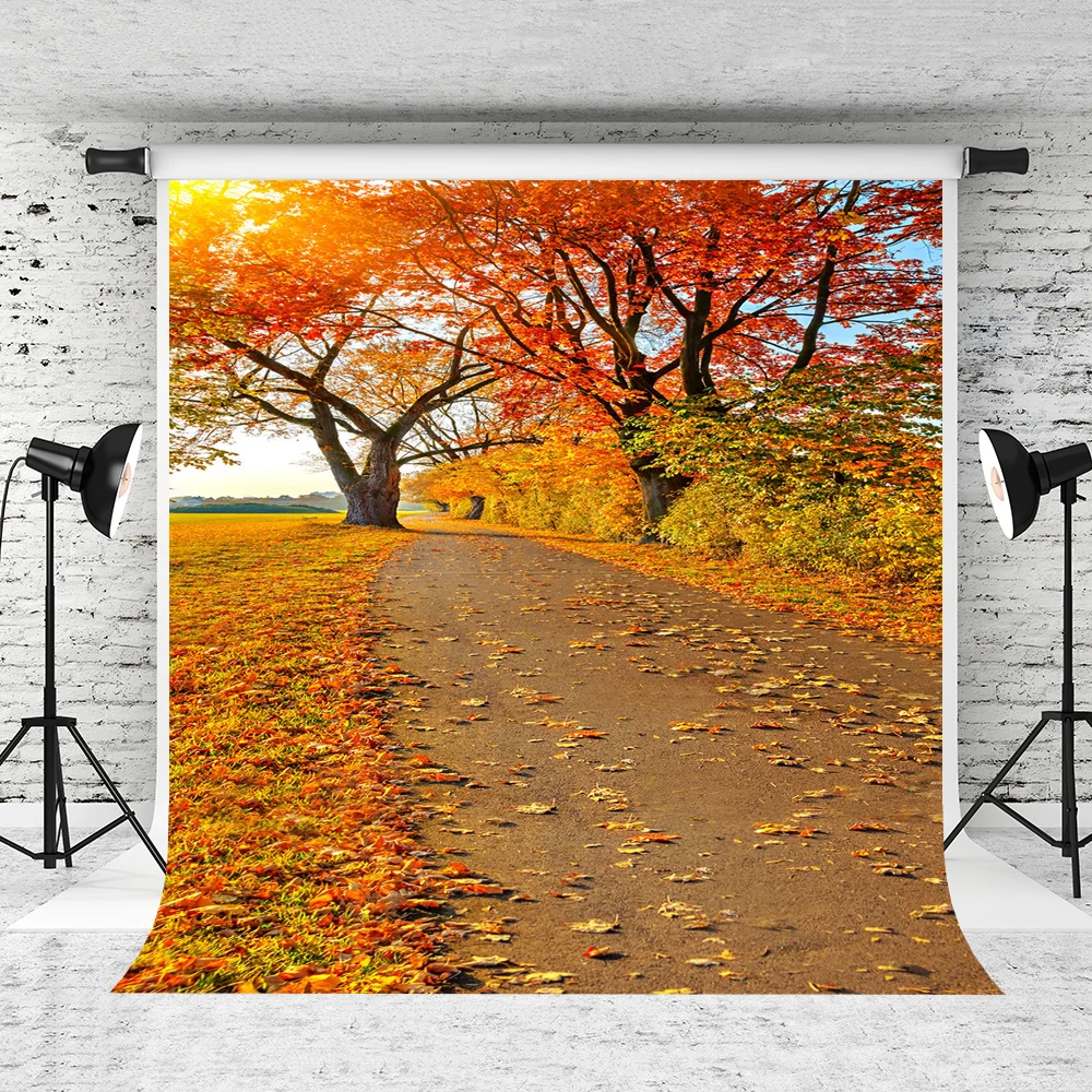 VinylBDS Autumn Maple Trail Sunshine Backdrop Photography Mini Backgrounds Studio Backgrounds
VinylBDS Autumn Maple Trail Sunshine Backdrop Photography Mini Backgrounds Studio Backgrounds