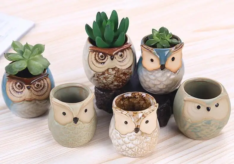 New Cartoon Owl-shaped Flower Pot for Succulents Fleshy Plants Flowerpot Ceramic Small Mini Home/Garden/Office Decoration
New Cartoon Owl-shaped Flower Pot for Succulents Fleshy Plants Flowerpot Ceramic Small Mini Home/Garden/Office Decoration