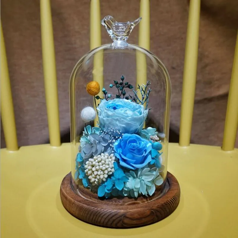 2sets/pack 9*11cm Small Size Bird Top Glass Dome Vase Home Decoration Transparent Cover DIY Friend Gift Wedding Prop
2sets/pack 9*11cm Small Size Bird Top Glass Dome Vase Home Decoration Transparent Cover DIY Friend Gift Wedding Prop