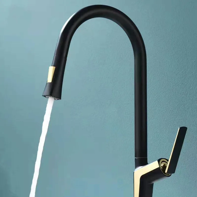 Black Gold Kitchen Faucet Hot and Cold Pull Out Kitchen Sink Faucet Single Lever Single Handle Kitchen Taps 360 Degree Swivel
Black Gold Kitchen Faucet Hot and Cold Pull Out Kitchen Sink Faucet Single Lever Single Handle Kitchen Taps 360 Degree Swivel