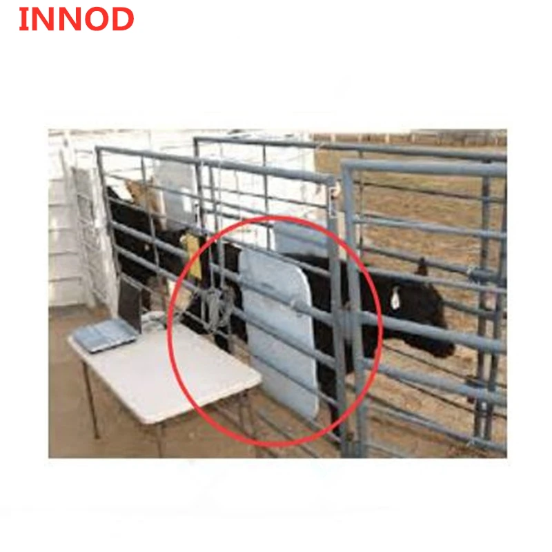 iso18000-6c отслеживание скота UHF ушная бирка для животных электронная бирка для крупного рогатого скота, овцы, свиней, собак, бирка gen2 long epc RFID UHF ушная бирка для животных
iso18000-6c отслеживание скота UHF ушная бирка для животных электронная бирка для крупного рогатого скота, овцы, свиней, собак, бирка gen2 long epc RFID UHF ушная бирка для животных