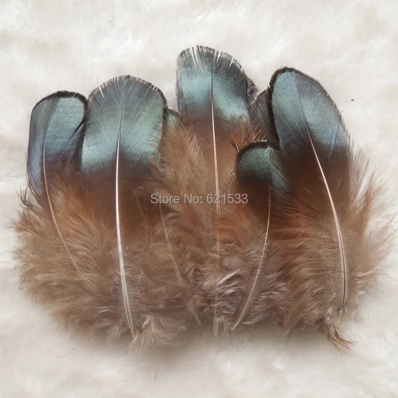 100pcs/Lot 5-8CM Green Bronze Lady Amherst Pheasant Plumage Feathers,Cheap Feathers for DIY,Jewelry Making etc
100pcs/Lot 5-8CM Green Bronze Lady Amherst Pheasant Plumage Feathers,Cheap Feathers for DIY,Jewelry Making etc