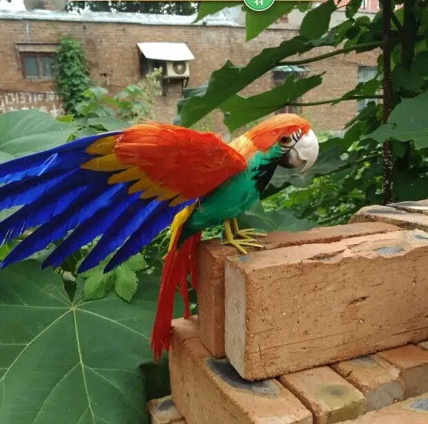 large 30x45cm artificial parrot colorful feathers spreading wings parrot bird handicraft prop home garden decoration gift p0909
large 30x45cm artificial parrot colorful feathers spreading wings parrot bird handicraft prop home garden decoration gift p0909