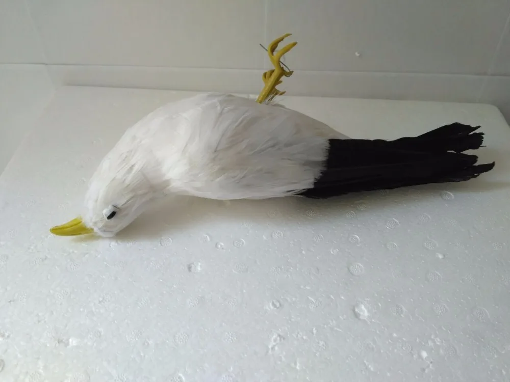 Environmental protection publicity filming prop 30cm died seagull model,foam&feathers bird handicraft,decoration,gift d1227
Environmental protection publicity filming prop 30cm died seagull model,foam&feathers bird handicraft,decoration,gift d1227