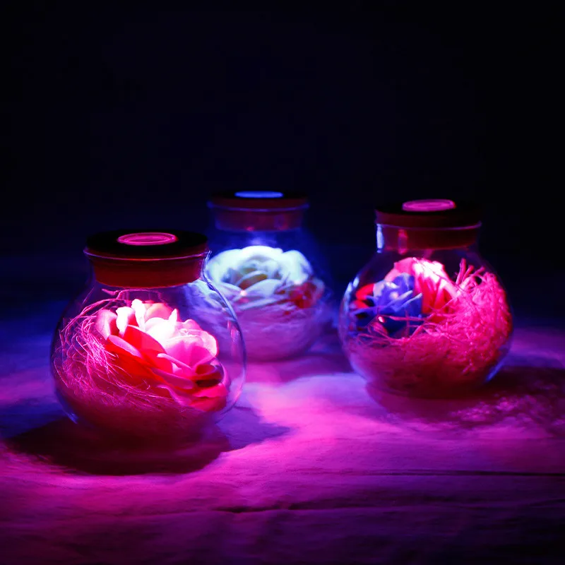 LED Lamp RGB Dimmer Flower Night Light Glass Bottle Creative Romantic Rose Bulb Gift For Wedding Valentine's Day New Year Decor
LED Lamp RGB Dimmer Flower Night Light Glass Bottle Creative Romantic Rose Bulb Gift For Wedding Valentine's Day New Year Decor