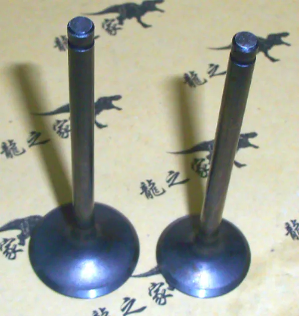 Engine Spare Parts Motorcycle Engine Valve Intake Exhaust Stem Valve for Suzuki GN125 GS125 GN GS 125 125cc
Engine Spare Parts Motorcycle Engine Valve Intake Exhaust Stem Valve for Suzuki GN125 GS125 GN GS 125 125cc
