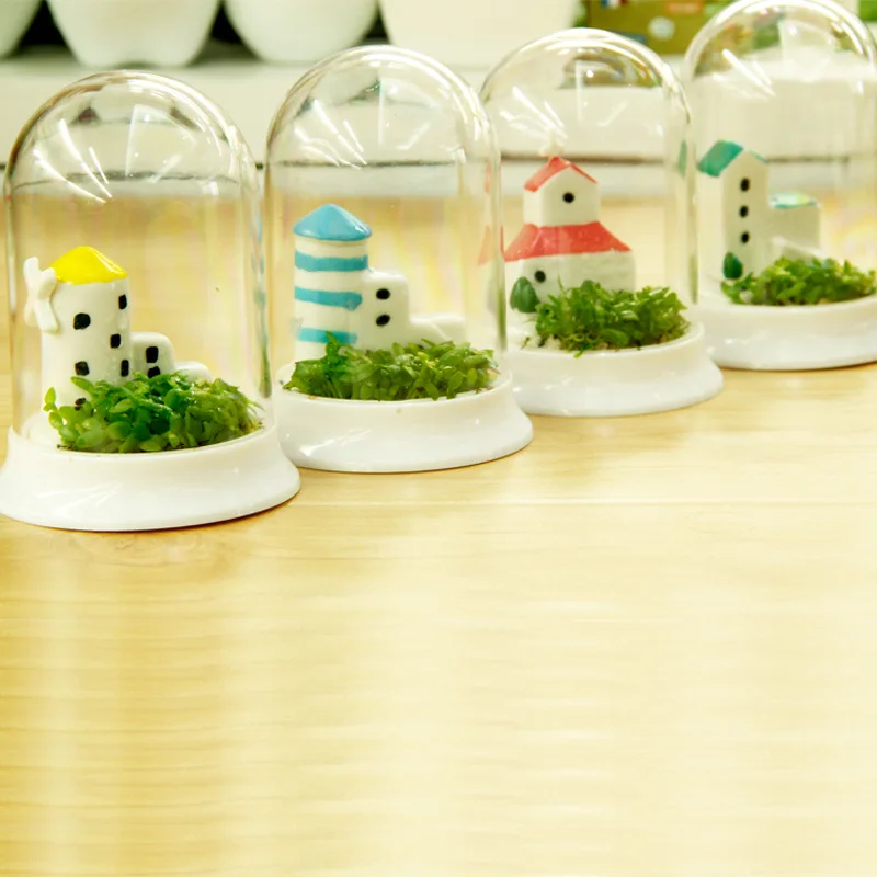 New micro succulents succulents potted landscape ceramic ornaments creative mini potted indoor plants flowers
New micro succulents succulents potted landscape ceramic ornaments creative mini potted indoor plants flowers