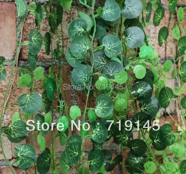 2.4cm Big leaf artificial Boston ivy leaves vine Virginia creeper vine green leaf plants home garden supermarket decoration
2.4cm Big leaf artificial Boston ivy leaves vine Virginia creeper vine green leaf plants home garden supermarket decoration