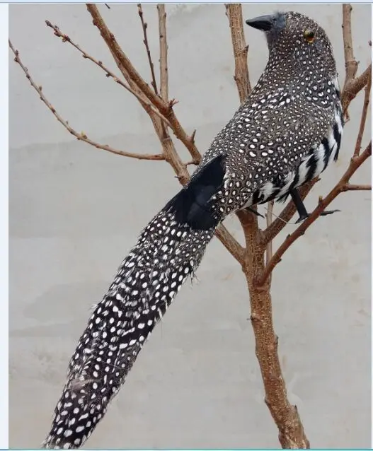foam&feathers artificial bird large 40cm cuckoo bird handicraft,garden decoration prop gift a2580
foam&feathers artificial bird large 40cm cuckoo bird handicraft,garden decoration prop gift a2580