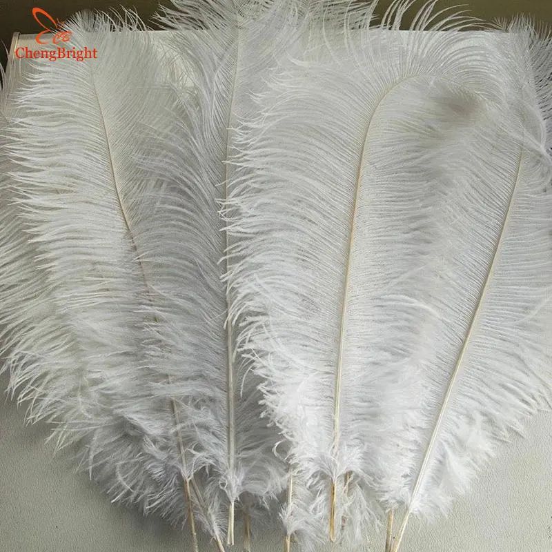 CHENGBRIGHT 500 Pcs/Lot Natural White Ostrich Feathers For Craft 15-70CM Carnival Costumes Party Home Wedding Decorations Plumes
CHENGBRIGHT 500 Pcs/Lot Natural White Ostrich Feathers For Craft 15-70CM Carnival Costumes Party Home Wedding Decorations Plumes