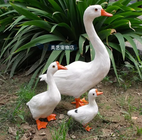 simulation duck toy model polyethylene&furs white duck model home decoration props ,model gift d053
simulation duck toy model polyethylene&furs white duck model home decoration props ,model gift d053