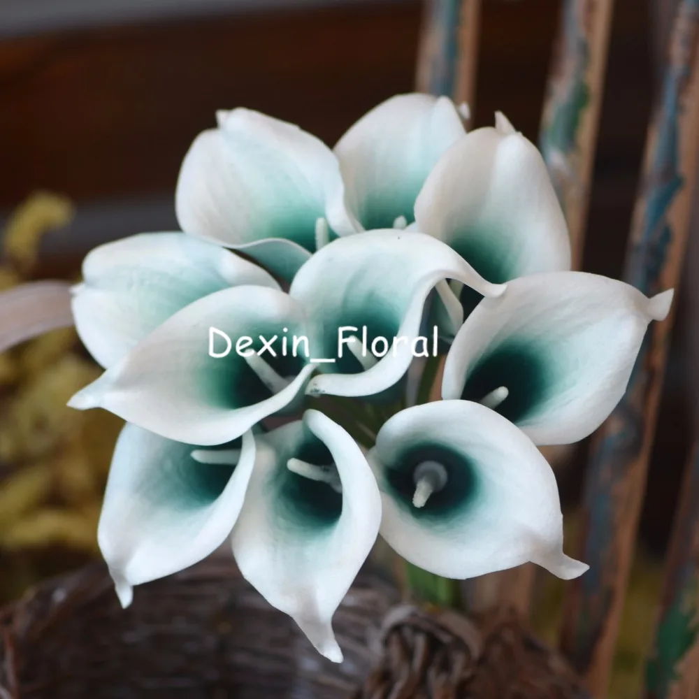 Teal Picasso Calla Lilies Real Touch Flowers For Silk Wedding Bouquets, Centerpieces Wedding Decorations Artificial calla lily
Teal Picasso Calla Lilies Real Touch Flowers For Silk Wedding Bouquets, Centerpieces Wedding Decorations Artificial calla lily