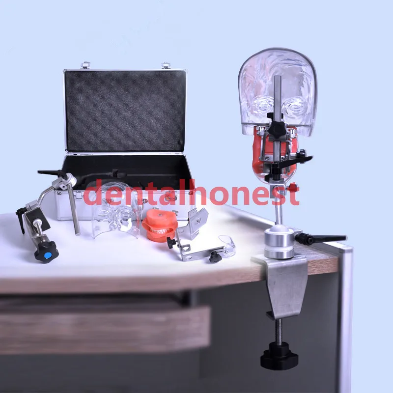 2019 high quality New Dental Phantom Head with Typodont/Dental Phantom Head with Replacement Teeth M1005
2019 high quality New Dental Phantom Head with Typodont/Dental Phantom Head with Replacement Teeth M1005