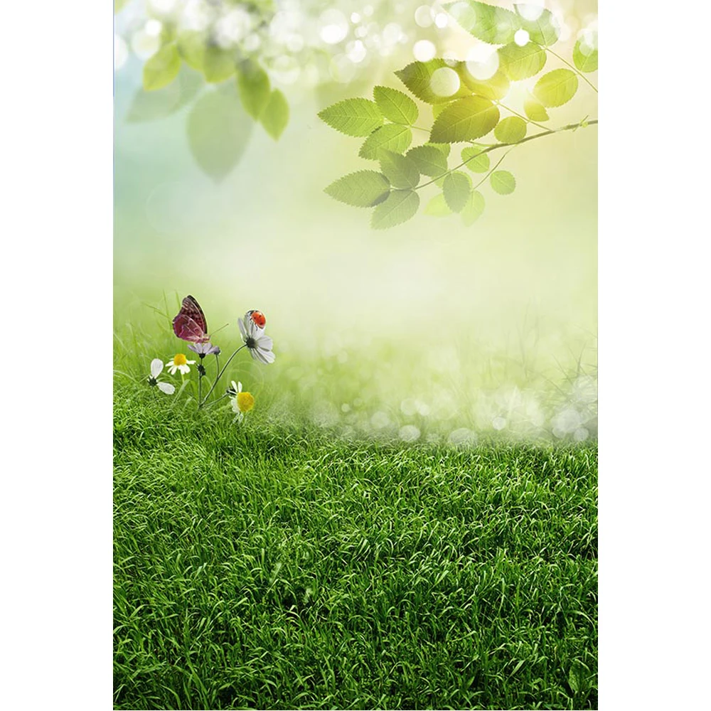 Bokeh Sunshine Tree Leaves Spring Backdrop Photography Newborn Baby Props Butterfly Flowers Easter Background Green Grass Floor
Bokeh Sunshine Tree Leaves Spring Backdrop Photography Newborn Baby Props Butterfly Flowers Easter Background Green Grass Floor