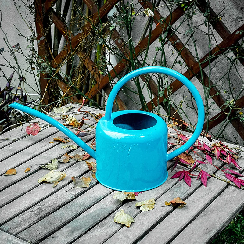 Creative gift Vintage Nostalgia Garden supplier tools metal iron Watering Can Slender mouth flowers tin tank bottle decoration
Creative gift Vintage Nostalgia Garden supplier tools metal iron Watering Can Slender mouth flowers tin tank bottle decoration