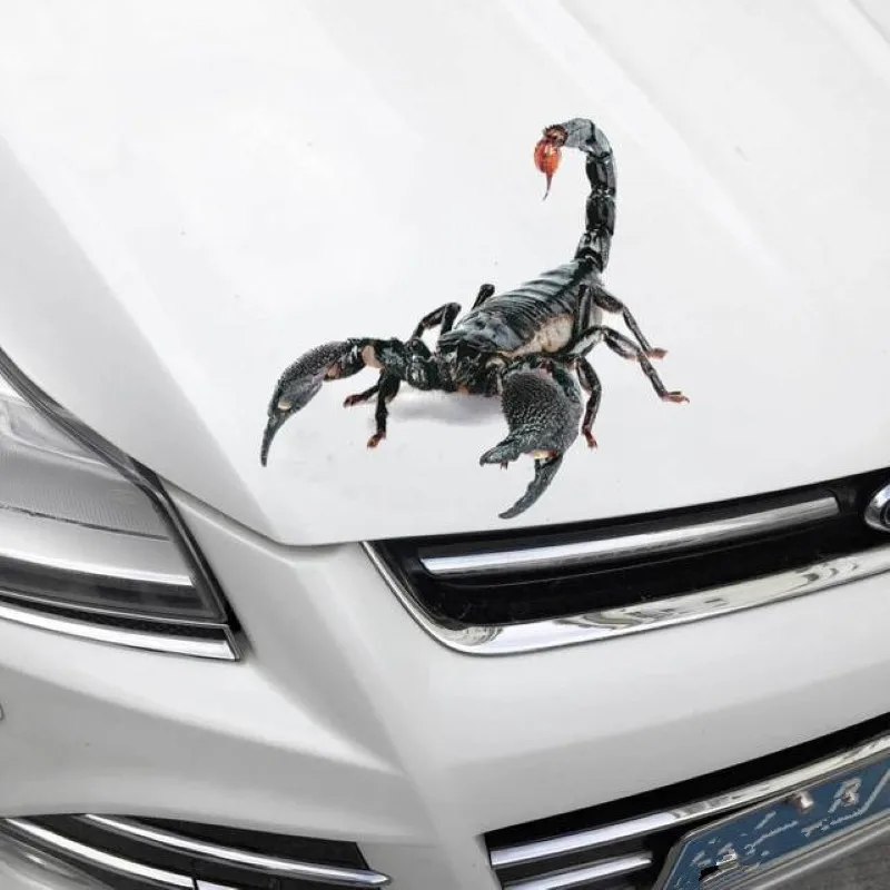 3D Car Sticker Animals Bumper Spider Gecko Scorpions For Peugeot 206 207 208 301 307 308 407 408 508 607 2008 3008 4008 5008 RCZ
3D Car Sticker Animals Bumper Spider Gecko Scorpions For Peugeot 206 207 208 301 307 308 407 408 508 607 2008 3008 4008 5008 RCZ