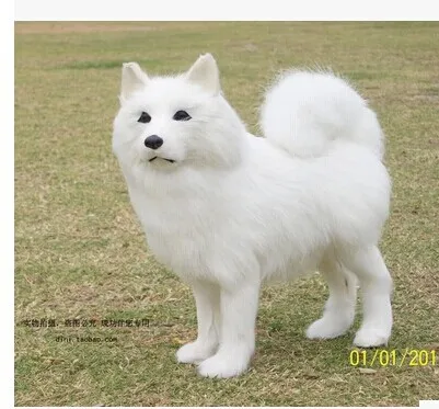 simulation animal about 23X21X7CM Samoyed dog plush toy polyethylene & furs prop doll birthday gift w5369
simulation animal about 23X21X7CM Samoyed dog plush toy polyethylene & furs prop doll birthday gift w5369