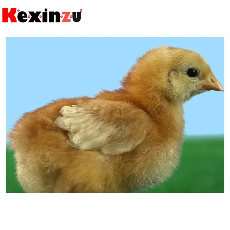 Kexinzu полноразмерная/круглая 5D алмазная живопись «сделай сам», вышивка крестиком «милые животные», алмазная 3D вышивка, мозаика, домашний декор, подарок K004
Kexinzu полноразмерная/круглая 5D алмазная живопись «сделай сам», вышивка крестиком «милые животные», алмазная 3D вышивка, мозаика, домашний декор, подарок K004