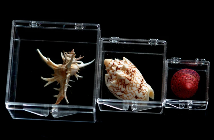 Plastic PS jewelry packaging box small specimen storage box square collection box transparent gift favor box
Plastic PS jewelry packaging box small specimen storage box square collection box transparent gift favor box