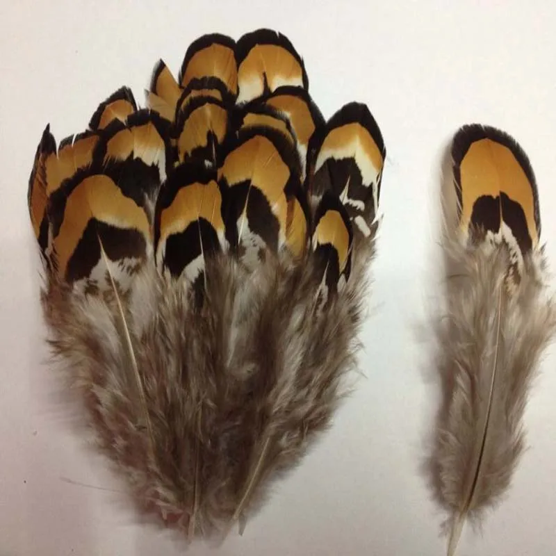 Wholesale,500PCS natural beautiful pheasant feather 2-4 inches /5-10 cm free shipping
Wholesale,500PCS natural beautiful pheasant feather 2-4 inches /5-10 cm free shipping