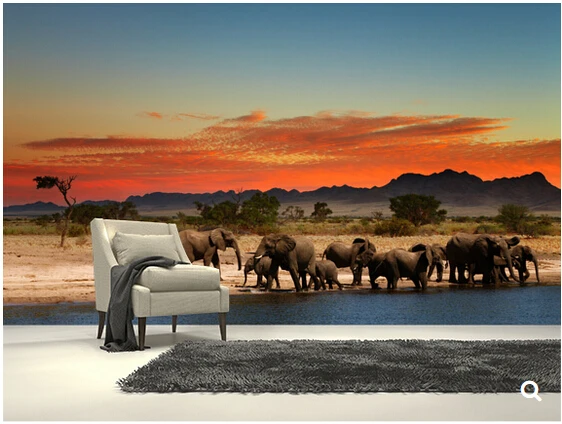 Custom natural landscape wallpaper,African Elephants,3D cartoon mural for living room bedroom sofa backdrop waterproof wallpaper
Custom natural landscape wallpaper,African Elephants,3D cartoon mural for living room bedroom sofa backdrop waterproof wallpaper